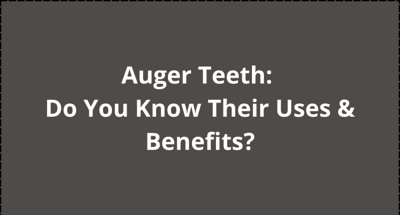 auger-teeth-do-you-know-their-uses-benefits-62d15d8fc90e0.png