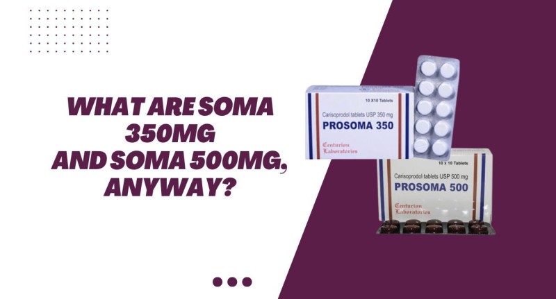 what-are-soma-350mg-and-soma-500mg-anyway-644a2e8b48677.jpg
